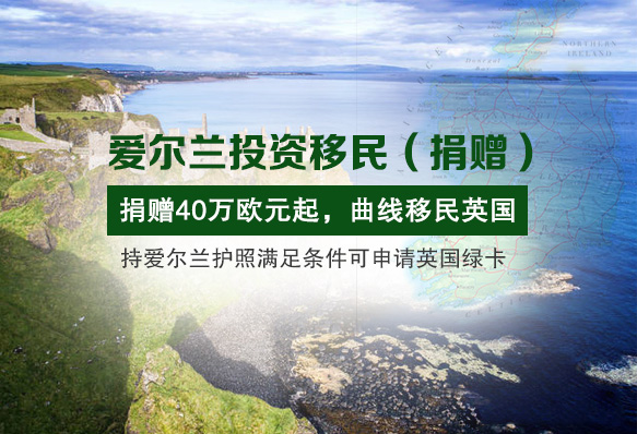 愛爾蘭捐贈移民